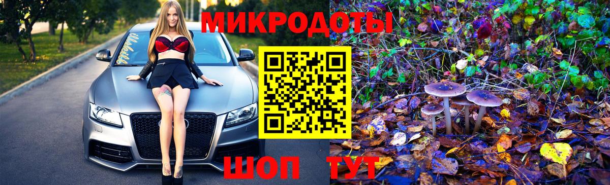 Псилоцибиновые грибы GOLDEN TEACHER  Псилоцибиновые грибы Psilocybe  Вход с VPN  Ростов-на-Дону 
