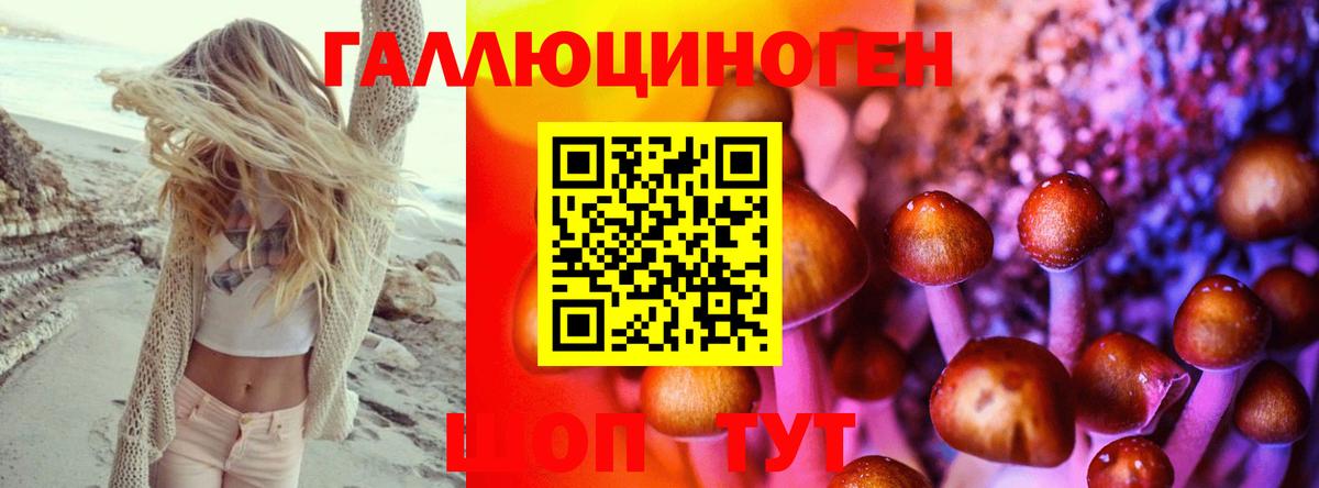 Псилоцибиновые грибы Psilocybine cubensis Ростов-на-Дону