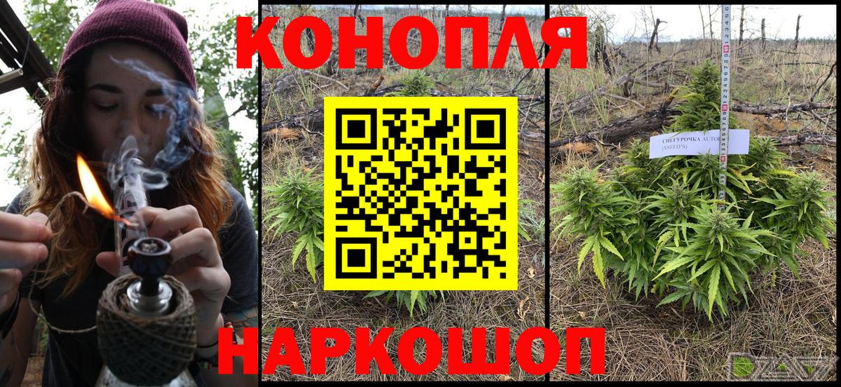 Каннабис ГИДРОПОН  Конопля гибрид  Ростов-на-Дону  Вход с VPN 